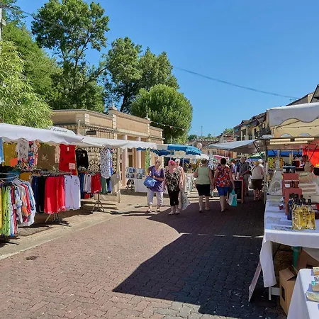 דירה Lumineux Avec Balcon Et Animaux Admis A - Fr-1-841-2 *